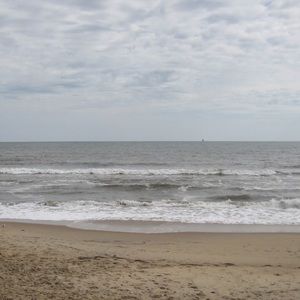 Meet your Posher, Jana